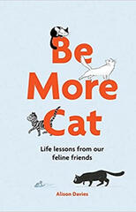 be more cat by alison davies