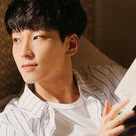the librarian